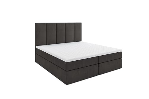 MRGROUP Boxspringbett Latina mit Bettkasten Matratze Topper Doppelbett (Swing 19 - dunkelgrau, 120 x 200 cm)