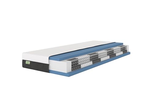 DREAMSTAR Premium 1000er Taschenfederkernmatratze I ergonomische 7-Zonen Tonnentaschenfederkernmatratze I Höhe 22 cm I Härtegrad 2 (H2) 0-80 kg I 100 x 200 cm
