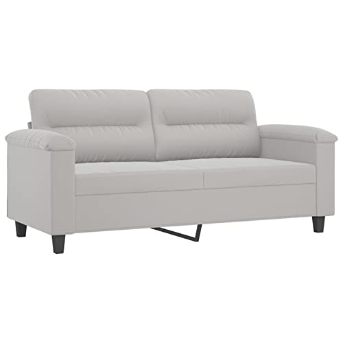 Tidyard 2-Sitzer-Sofa Schlafsofa Sofabett Loungesofa Polstersofa Stoffsofa Bettcouch Schlafcouch Sitzersofa Dauerschläfer Bettcouth Bettsofa Schlafsessel 170 x 77 x 80 cm (B x T x H) Hellgrau