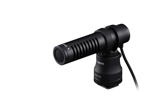 Canon Stereomikrofon DM-E100