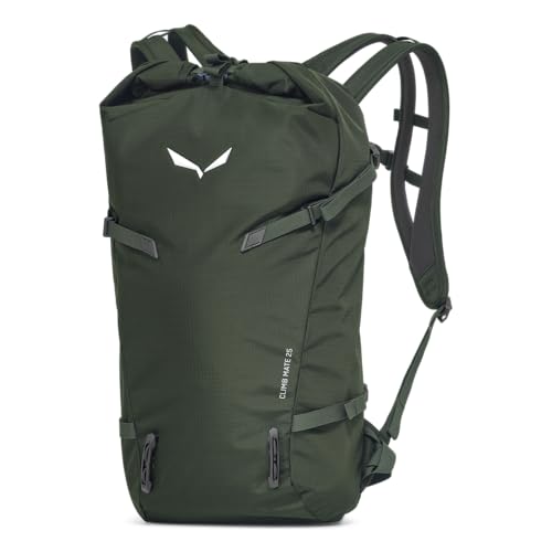 Salewa Climb Mate 25L-Rucksack, Grün