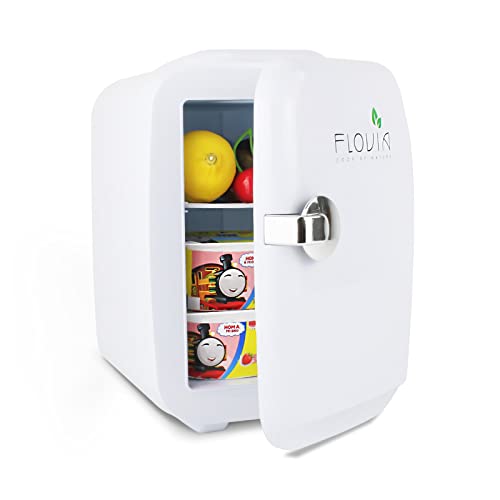 Mini Kühlschrank 2-in-1 Kleiner Kühlbox, 4 Liter / 6 Dosen Getränkekühlschränke Kosmetik Minikühlbox Kühler und Warmhalten, Campingkühlschränke für AC/DC Zimmer, Auto, Camping, Büros