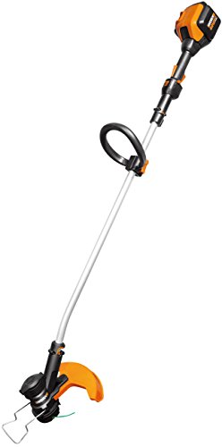 WORX 40 V Li-Ion Akku-Rasentrimmer, 1 Stück, WG168E