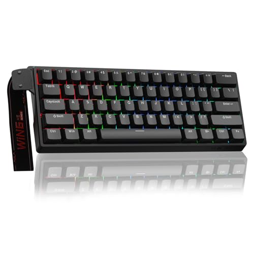 AULA WIN60 HE Mechanische Gaming Tastatur mit Kabel,Hall Effect Magnetic Switches,Rapid Trigger,Einstellbare Betätigung,60% RGB Tastatur für PC/Mac (Schwarz)