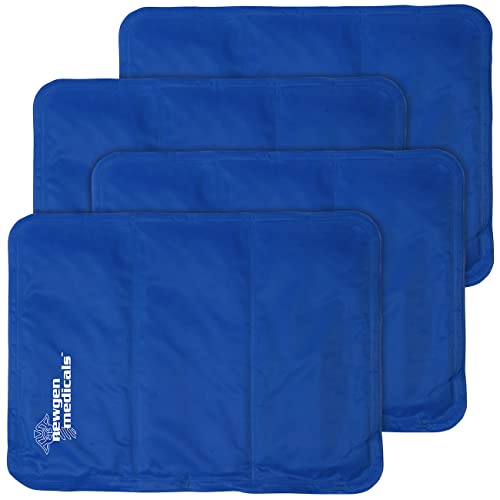 Newgen Medicals Kühltuch: 4er-Set kühlende Kissenauflagen, 30 x 40 cm, blau (Kühlkissen für Bürostuhl, Kühlkissen für Menschen, Ventilatoren)
