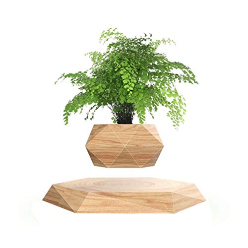 Kiko-ershaa Levitating Plant Pot Floating Air Bonsai Pot Suspension Flower Pot Planter for Desk Decoration