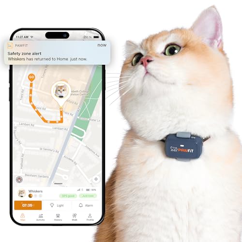 Pawfit Lite for Cats 4g GPS-Tracker | Echtzeit-Tracking | Aktivitätsüberwachung | Standortverlauf | unbegrenzte Reichweite | Sicherheitshalsband enthalten | Anthrazit