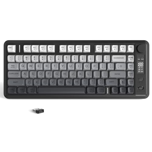 ZIYOU LANG M75 Kabellose Gaming-Tastatur mit Smart-Display und Drehknopf, Bluetooth/2,4 GHz, PBT-Tastenkappen, Regenbogen-Hintergrundbeleuchtung, TKL-Membrantastatur mit 82 Tasten-Schwarz