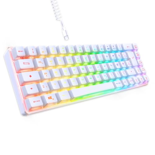 EMPIRE GAMING - Neu 2024 - K208 Kompakte TKL-Kabelgebundene Tastatur (DE-QWERTZ) 69 Tasten RGB - Abnehmbares USB Type C Kabel Plug & Play - PC/PS4/PS5/Xbox - 23 Anti-Ghosting-Tasten (Weiß)
