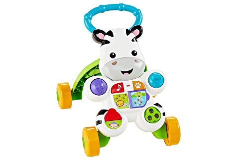 Fisher Price Everything Baby Playset, Mehrfarbig, DLD80