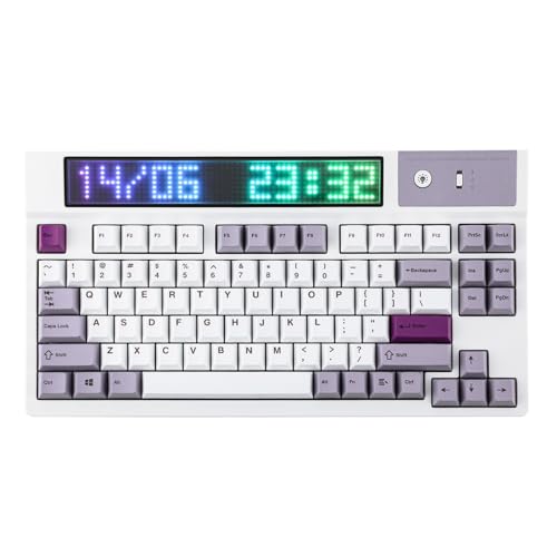 EPOMAKER DynaTab 75X Mechanische Tastatur mit RGB Matrix Display. Bluetooth/2,4 GHz/USB-C Tastatur Gaming in Gasket, mit Hot-Swap, 10.000mAh, 2A Schnellladung (Lila, Sea Salt Silent)