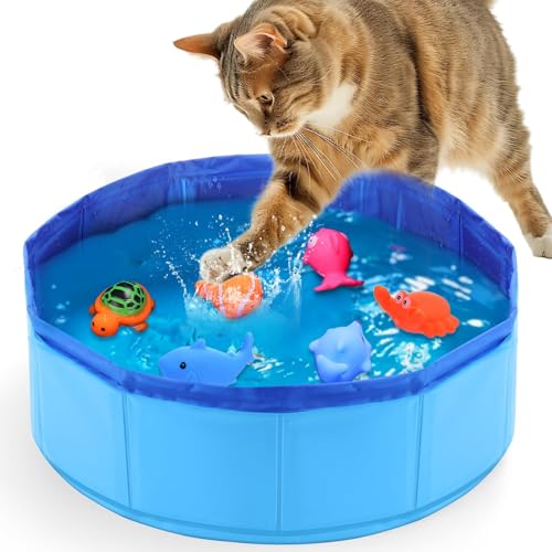 Katzenpool, 30×10cm Hundepool Klein, Planschbecken für Katzen, Faltbarer Katzen Pool, Faltbarer Pool für Hund und Katze, Mini Pool für Kätzchen und Welpen zum Spielen und Baden (Blau)