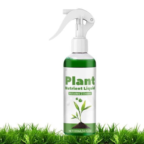 1 Liter Grüne Rasenfarbe Direkt Aufsprühen Inkl. Sprühkopf. Rasenfarbe, Naturdünger Und Natürlichem Zeckenschutz.