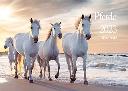Edition Seidel Pferde Premium Kalender 2023 DIN A3 Wandkalender Pferdekalender Tiere Pony