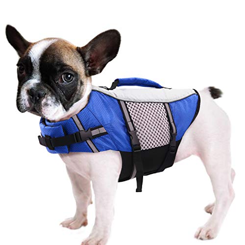 Werwing Schwimmweste für kleine und mittelgroße Hunde – Schwimmweste aus Neopren mit verstellbaren Trägern, reflektierendem Sicherheitsdesign und Rettungsgriff für Bootfahren und Wassersport