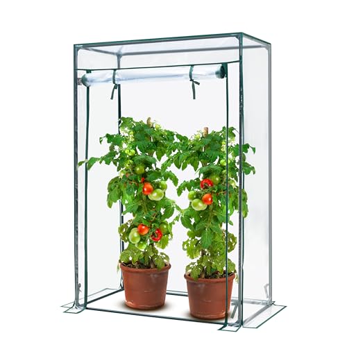KANWOD Gewächshaus Garten mit Aufrollbarer Tür - Tomatengewächshaus - Foliengewächshaus Winterfest für Balkon, Terrasse, Garten - Einfach zu Montieren - Transparent - 150x100x50cm