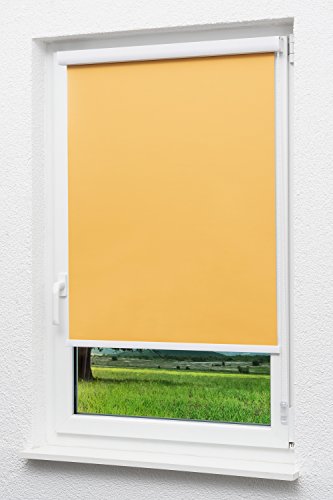 LYSEL Outlet - Kassettenrollo abdunkelnd Aprikose, (B x H) 60cm x 175cm in orange/Aprikose