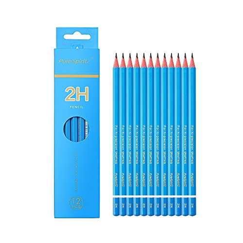 12 Stück Professionelle Bleistiften zum Zeichnen - Härtegrad 2H, mittelhart, für für technisches Zeichnen, Lichtskizzen und Schreiben - Graphitstifte für Kunstler, Einsteiger, Studenten und Kinder