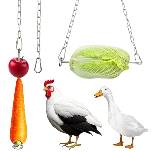 HahaMagic 2 Stück Hühner Futterautomat zum Aufhängen, Obstgabel Aus Edelstahl für Huhn mit Häkchen, Huhn Gemüse Obst Spieß, geeignet als Hühner Spielzeug, Hühner Zubehör und Hühner Beschäftigung