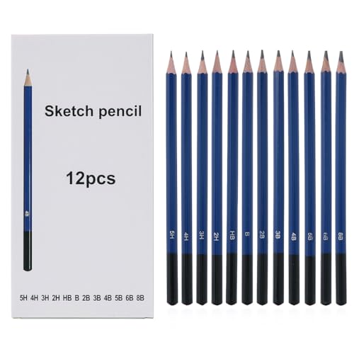 12 Bleistifte Set, 5H, 4H, 3H, 2H, HB, B, 2B, 3B, 4B, 5B, 6B, 8B, zum Skizzieren, Zeichnen, geeignet für Kinder Erwachsene Anfänger Profis