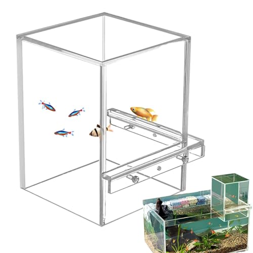 Generic Moderner Fischturm aus Acryl, umgekehrtes Aquarium, Unterdruck-Aquarium, Betta Fishs