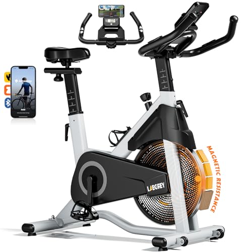 LABGREY Heimtrainer Fahrrad mit magnetischem Widerstand für leises Indoor-Cycling, Inklusive intelligenter Apps, Verbessertem LCD und Pulsmesser, Fitnessbike mit 15KG Schwungrad, Up to 158 kg