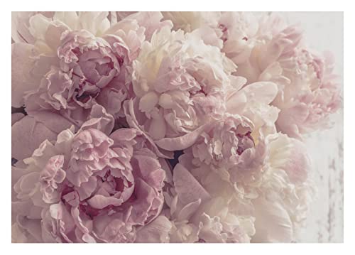 WallArena - Vlies Fototapete Blumen Pfingstrose Romantisch Rosa Rosen 368x254 cm - Fototapeten - Tapeten - für Wohnzimmer Schlafzimmer - Vliestapete Wandtapete Tapete 3D Effekt- inkl. Kleister