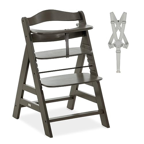 hauck Hochstuhl Alpha+ für Kinder ab 6 Monaten bis 90 kg, Edle Optik, inkl. Schutzbügel, 5-Punkt-Gurt & Schrittgurt, mitwachsender Kinderhochstuhl aus FSC® zertifiziertem Buchenholz (Charcoal)