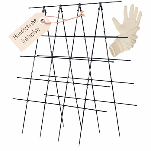 Gurken Rankhilfe, Rankhilfe Garten, Rankhilfe Gurken, Trellis, Rankhilfe Himbeeren, Bohnen Rankhilfe, Rankgitter Gurken, Rankhilfen, Gurkenturm 1 x 1 m