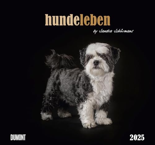 DUMONT - Hundeleben 2025 Wandkalender, 38x35,5cm, Foto-Kunst-Kalender mit charmanten Tiermotiven und Zitaten, by Sandra Schürmans: by Sandra Schürmans