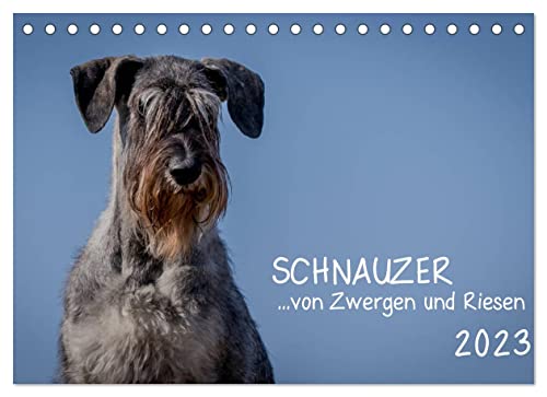 Schnauzer. von Zwergen und Riesen 2023 (Tischkalender 2023 DIN A5 quer), Calvendo Monatskalender