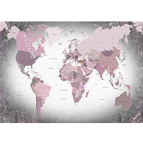 Runa Art Fototapete Weltkarte Modern Vlies Wohnzimmer Schlafzimmer - Made in Germany - Rosa Grau 9457010c