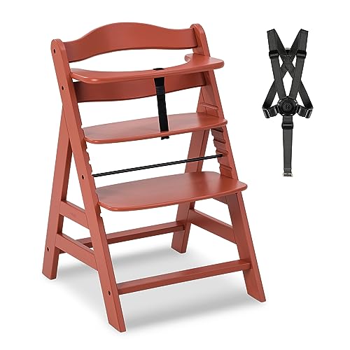hauck Hochstuhl Alpha+ für Kinder ab 6 Monaten bis 90 kg, inkl. Schutzbügel, 5-Punkt-Gurt & Schrittgurt, mitwachsender Kinderhochstuhl aus FSC® zertifiziertem Buchenholz (Cork)