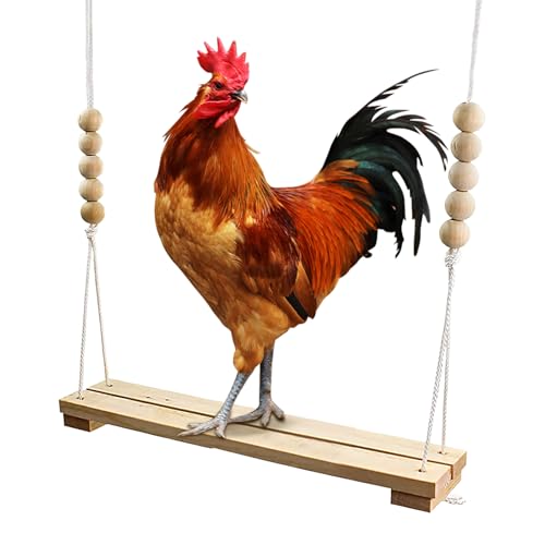 Hühnerschaukel Für Stall & Freigehege | Natürliche Holzschaukel Für Hühnerstall - Zubehör Für Legehennen & Anfänger-Ausstattung Für Die Hühnerhaltung Im Garten Und Natürlichen Lebensraum