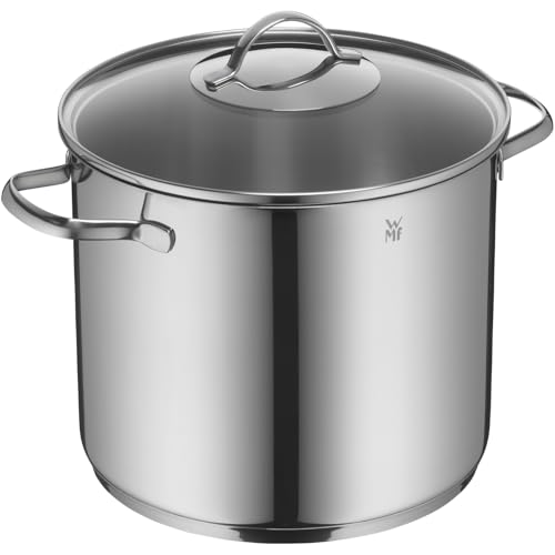 WMF Provence Plus Gemüse- Suppentopf Induktion 24cm, Glasdeckel, Kochtopf groß 8,8l, Cromargan Edelstahl poliert, unbeschichtet, backofengeeignet