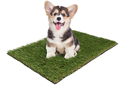 Primaflor - Ideen in Textil Premium Ersatz-Rasen Kunstrasen für Hundetoilette - 60 x 80 cm, Rasenmatte, Ersatzgras, Trainingsunterlage für Hundeklo, Welpentoilette
