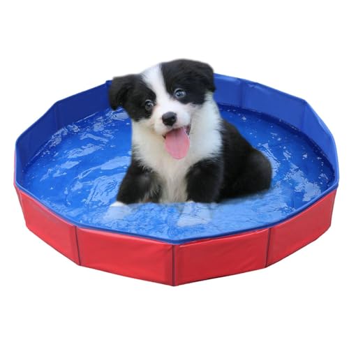 Faltbar Hundepool,Hundepool für Kleine Hunde,Hunde schwimmbecken,PVC Hundepool,Schwimmbad Für Hund,rutschfest Planschbecken für Hunde,Schwimmbecken für Hund,Kinderschwimmbad,50x8 cm,1 Stück