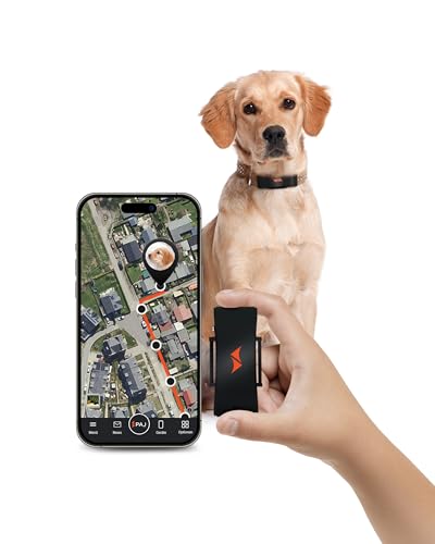 PAJ GPS Tracker für Hunde - 4G - Weglaufalarme + weltweite Live-Ortung - Akkusparmodus in Routernähe - Hunderückruf - mit Leucht-LEDs - Wasserdicht (IP67) - passt an jedes Halsband - schwarz