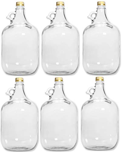 lilawelt24 6 x 5L GLASBALLON Weinballon GÄRBALLON GLASFLASCHE Flasche Gallone Leere Glasflasche zum Befüllen