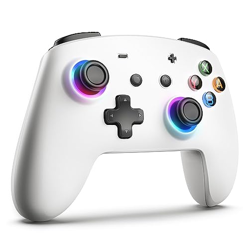 ECHTPower Switch 2 Controller Kompatibel mit Switch/OLED/Lite, Switch Pro Controller, 9 LEDs Wireless Controller für Switch mit Turbo, 6-Achsen, Aufwachen, Gyroskop, SYNC, Makro und Screenshot -Weiß