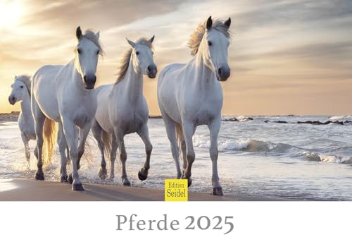 Edition Seidel Premium Kalender Pferde 2025 Format DIN A3 Wandkalender Pferdekalender Tiere Fohlen Stute Hengst Pony