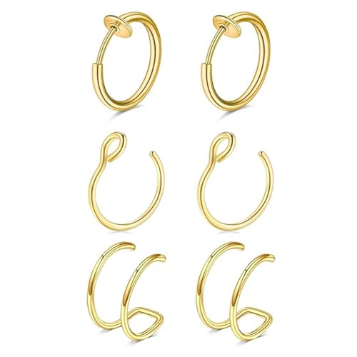 BelleVive 6 Stück Fake Nasenring Set, Gold Fake Piercings, Inkl. Fake Lippenpiercing Und Clip On Ohrring, Edelstahl Nasenring Fake für Frauen und Männer, kein Piercing, Körperschmuck