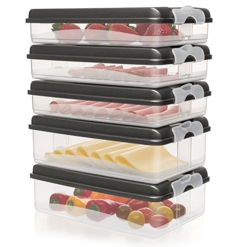 Hausfelder Kühlschrank Aufschnitt Aufbewahrung für Wurst und Käse, Aufschnittbox stapelbar, Aufbewahrungsbox mit Deckel (5 Anthrazit Aufschnittdosen 3x flach, 2x hoch)