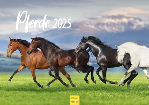 Edition Seidel Premium Kalender Pferde 2025 Format DIN A3 Wandkalender Pferdekalender Tiere Fohlen Stute Hengst Pony