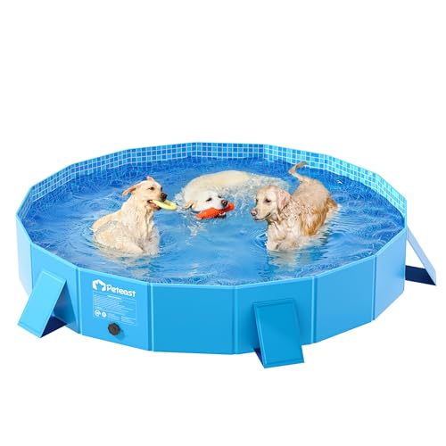Tragbarer Hundepool mit Seitenstütze