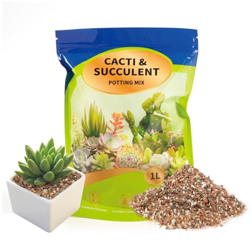 GOTVUGE Sukkulenten- und Kaktus-Erde Pflanzsubstrat 1L, grober Boden mit schneller Drainage, geeignet für Bonsai, Terrarien und Zimmerpflanzen