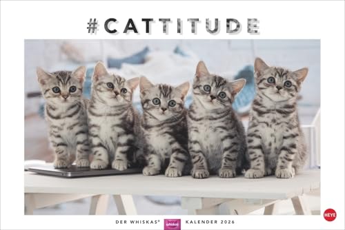 Whiskas Katzenkalender 2026: Foto-Wandkalender mit süßen Katzen und lustigen Geschichten. Wandkalender 2026 in schönem Design. Bildkalender 2026. Querformat 45 x 30 cm.