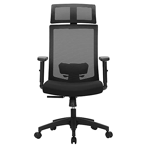 SONGMICS Bürostuhl, Schreibtischstuhl mit Netzbespannung, verstellbare Lendenstütze, Kopfstütze und Armlehnen, arretierbarer Neigungswinkel bis 120°, schwarz OBN55BK