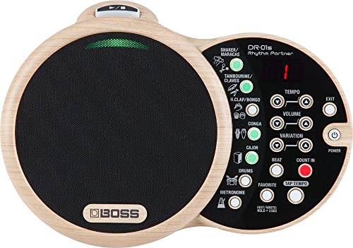 BOSS DR-01S Rhythm Partner für akustische Musiker – Begleiter für akustische Gitarre und Vocals