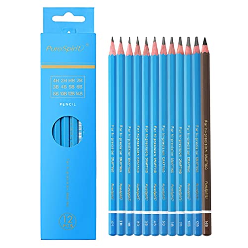 CUHZA 12 Pcs Zeichenstifte Set, Skizzenstift Bleistifte 14B 12B 10B 8B 6B 5B 4B 3B 2B HB 2H 4H, Skizzienstifte für Kinder Erwachsene Anfänger Professionelle zeichnen